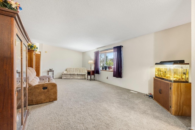 unfurnished room with a textured ceiling and carpet flooring