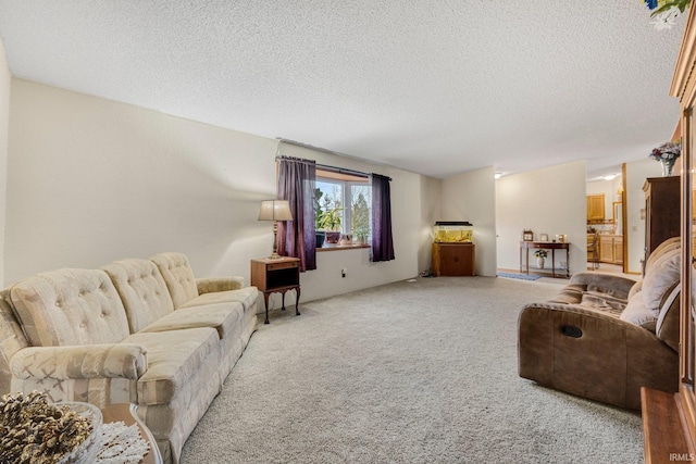 living room featuring a textured ceiling and light colored carpet