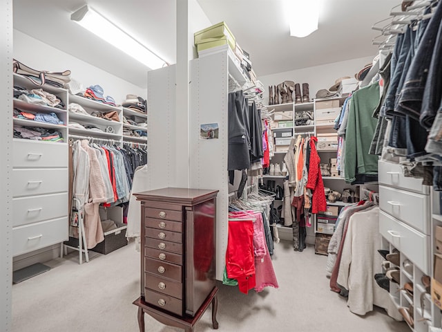 spacious closet with carpet flooring