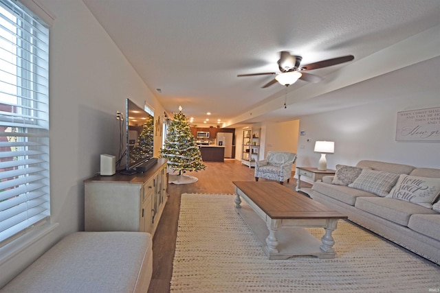 living area with ceiling fan and wood finished floors