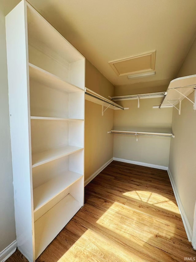 spacious closet featuring wood finished floors and attic access