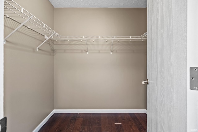 spacious closet featuring wood finished floors