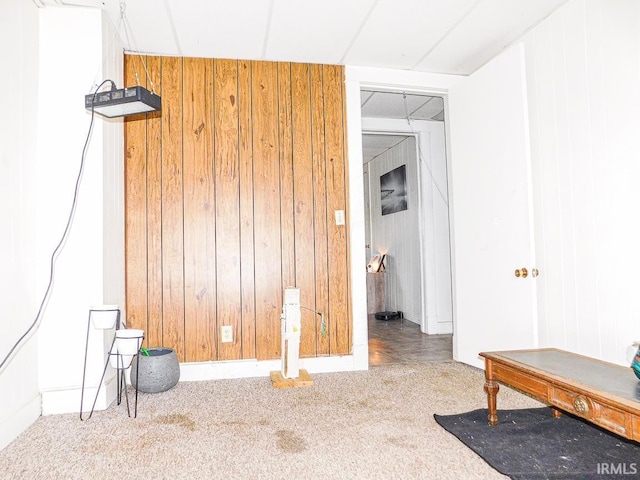 interior space with wood walls