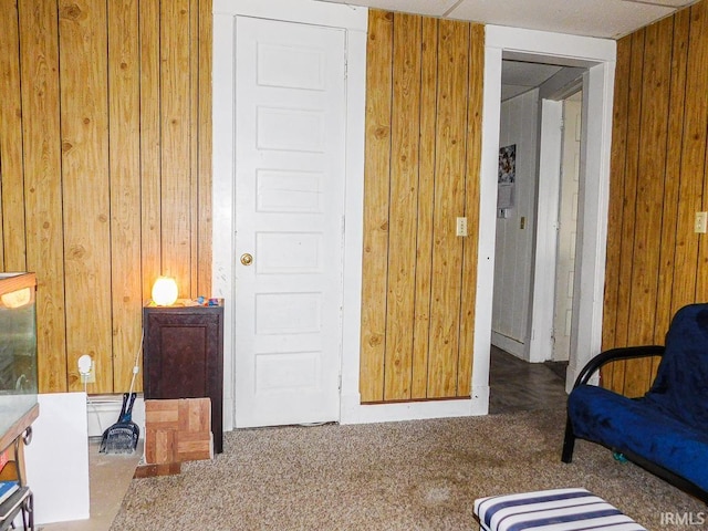 living area featuring wood walls and carpet flooring