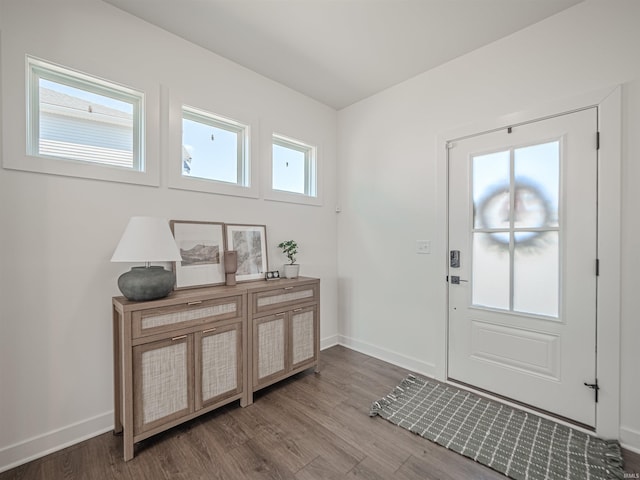 foyer with baseboards, wood finished floors, and a healthy amount of sunlight