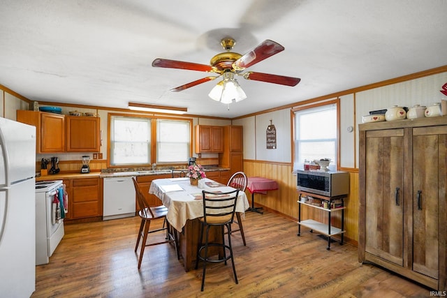 dining area with a wainscoted wall, wood finished floors, and a healthy amount of sunlight