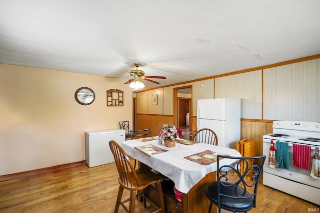 dining room featuring ceiling fan, wainscoting, light wood-type flooring, and crown molding