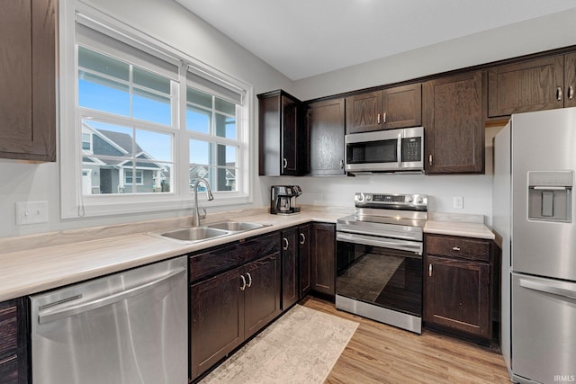 kitchen with light countertops, appliances with stainless steel finishes, a sink, dark brown cabinets, and light wood-type flooring