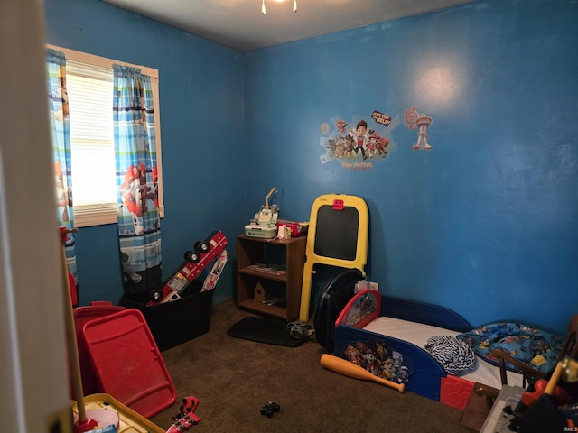 bedroom with carpet flooring