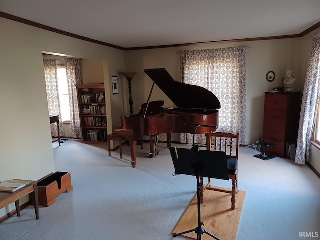 living area with carpet and crown molding