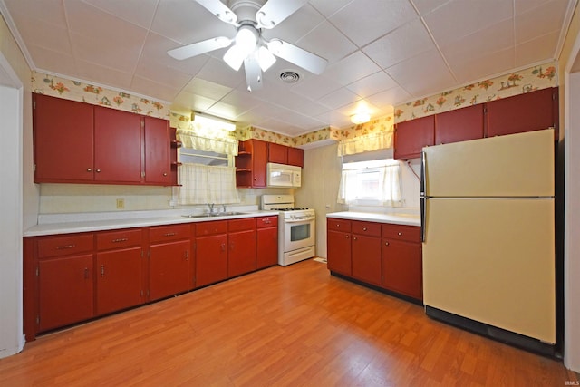 kitchen featuring red cabinets, light countertops, light wood-style flooring, a sink, and white appliances