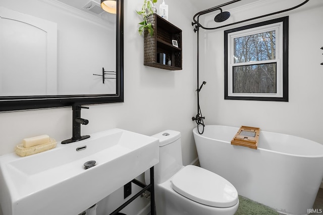 bathroom with toilet, a freestanding bath, and a sink