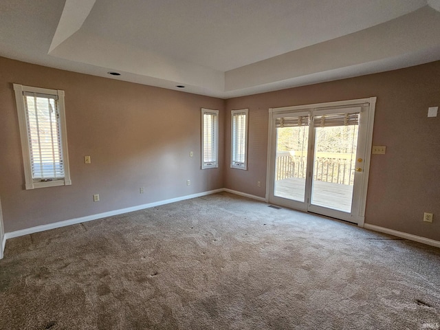 spare room with carpet, a tray ceiling, and a wealth of natural light