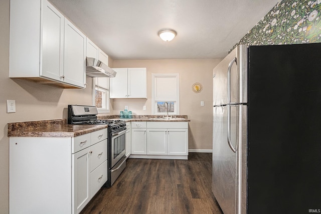 kitchen with stainless steel appliances, white cabinets, a sink, and ventilation hood