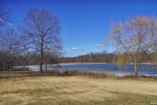 water view with a wooded view