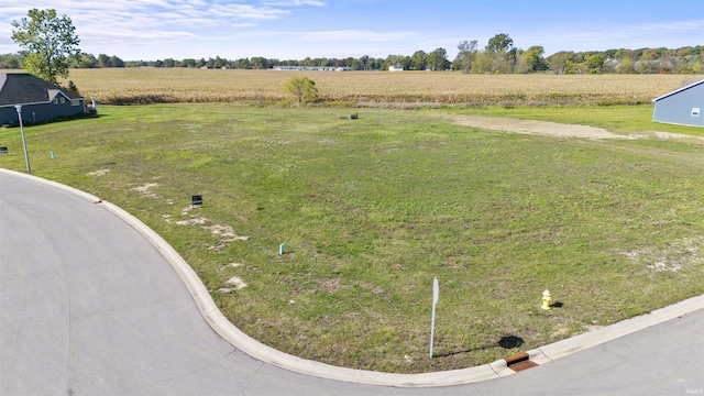 view of yard featuring a rural view