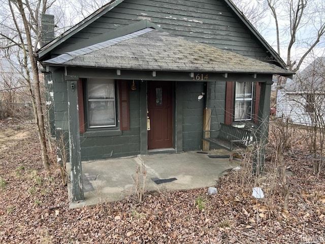 view of front facade with concrete block siding and a shingled roof