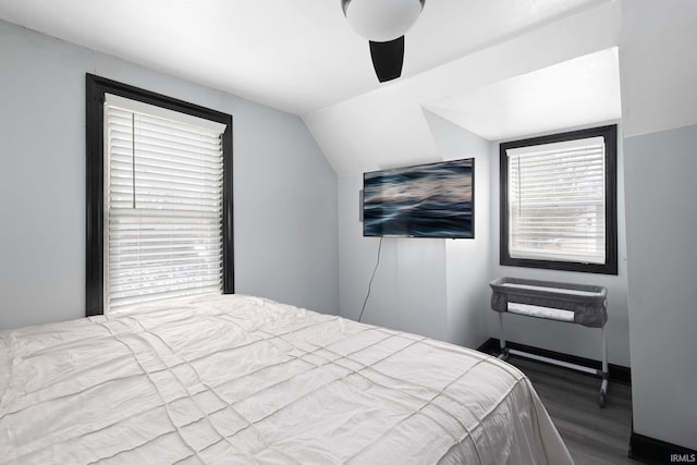 bedroom featuring lofted ceiling and wood finished floors