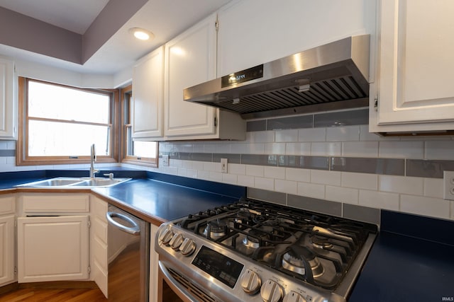 kitchen with a sink, gas range, exhaust hood, and white cabinetry