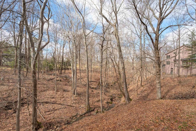 view of landscape