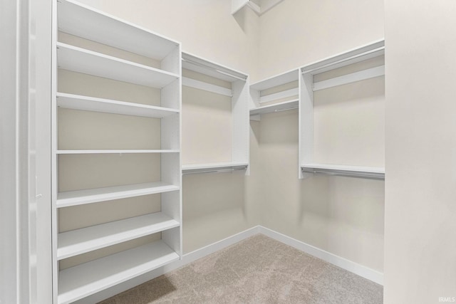 walk in closet with carpet flooring