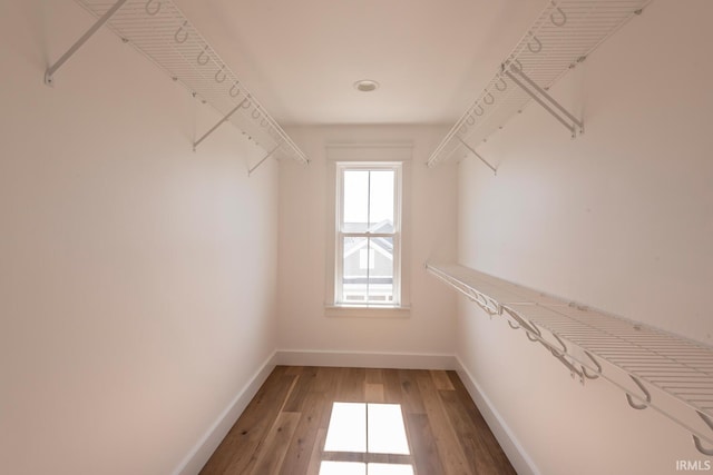 walk in closet featuring light wood-style flooring