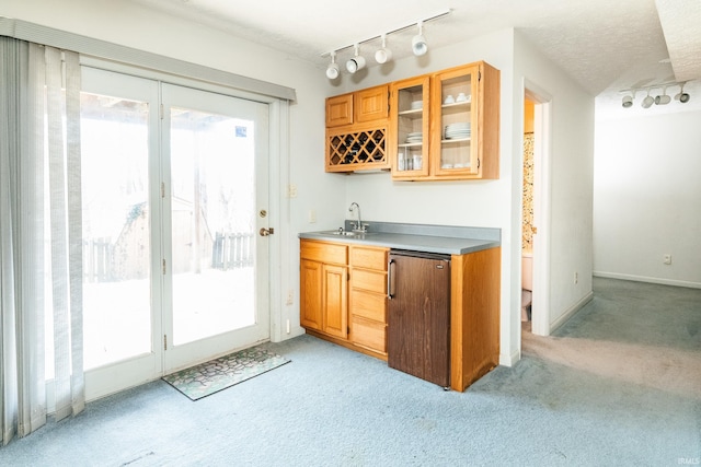 bar with a healthy amount of sunlight, a textured ceiling, indoor wet bar, and light colored carpet