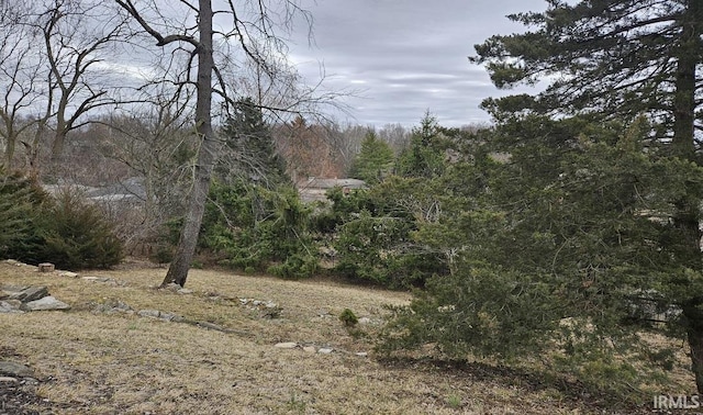 view of landscape with a wooded view