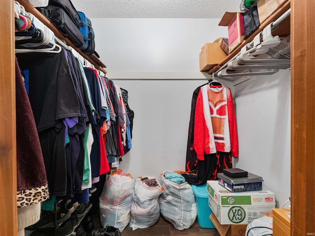 spacious closet featuring wood finished floors