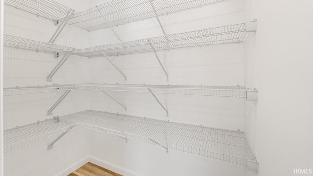 spacious closet featuring light wood-style floors