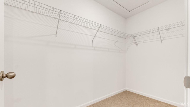 spacious closet featuring light colored carpet