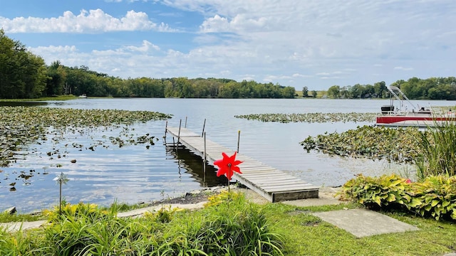 dock area featuring a water view