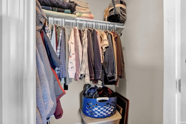 view of walk in closet