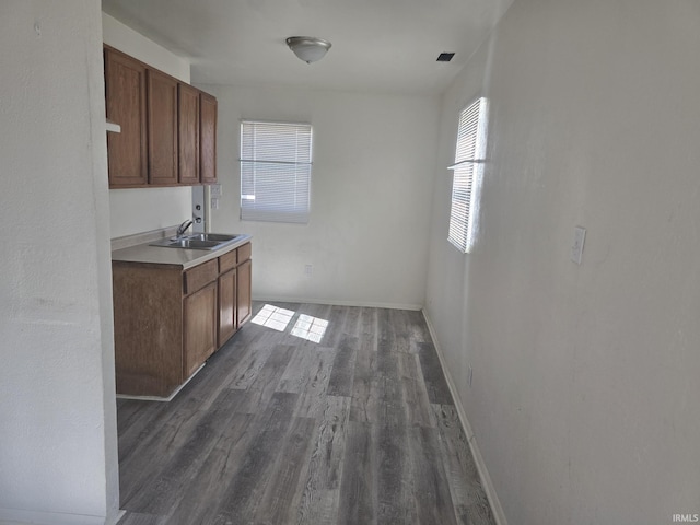 kitchen with a wealth of natural light, dark wood-type flooring, baseboards, and a sink