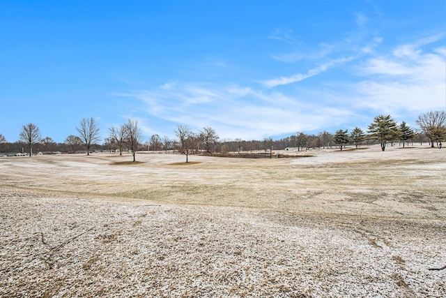 view of yard featuring a rural view