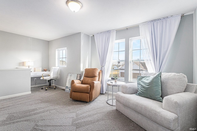 living area with carpet and baseboards