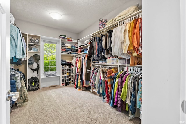 walk in closet with carpet floors