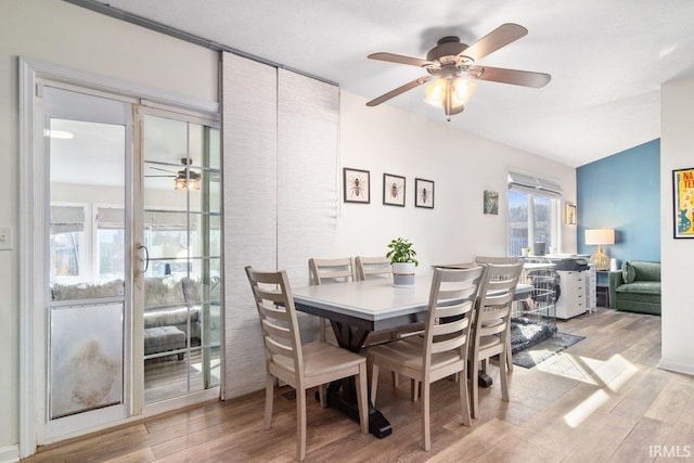 dining room featuring wood finished floors and ceiling fan