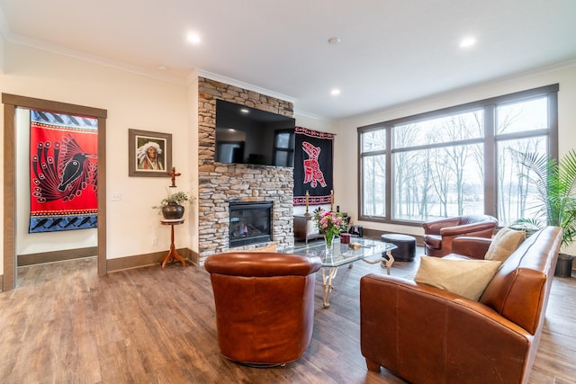 living room featuring a fireplace, wood finished floors, and crown molding