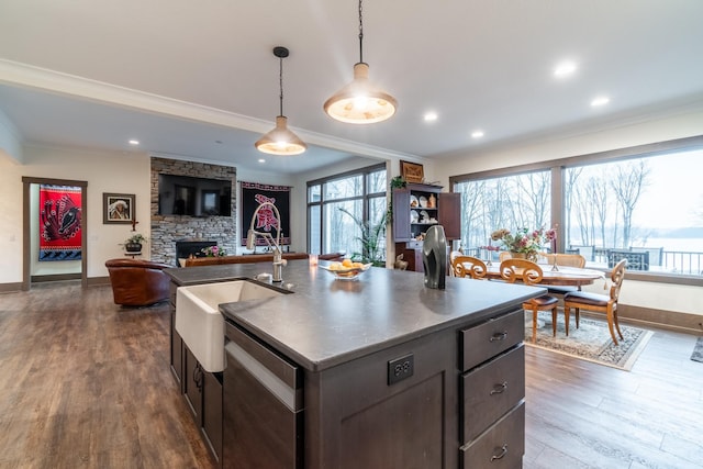 kitchen featuring dark wood-style flooring, stainless steel dishwasher, ornamental molding, a sink, and a stone fireplace