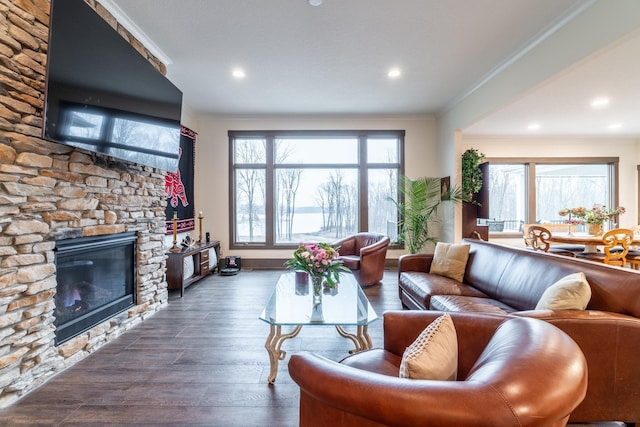 living room featuring a fireplace, crown molding, and wood finished floors