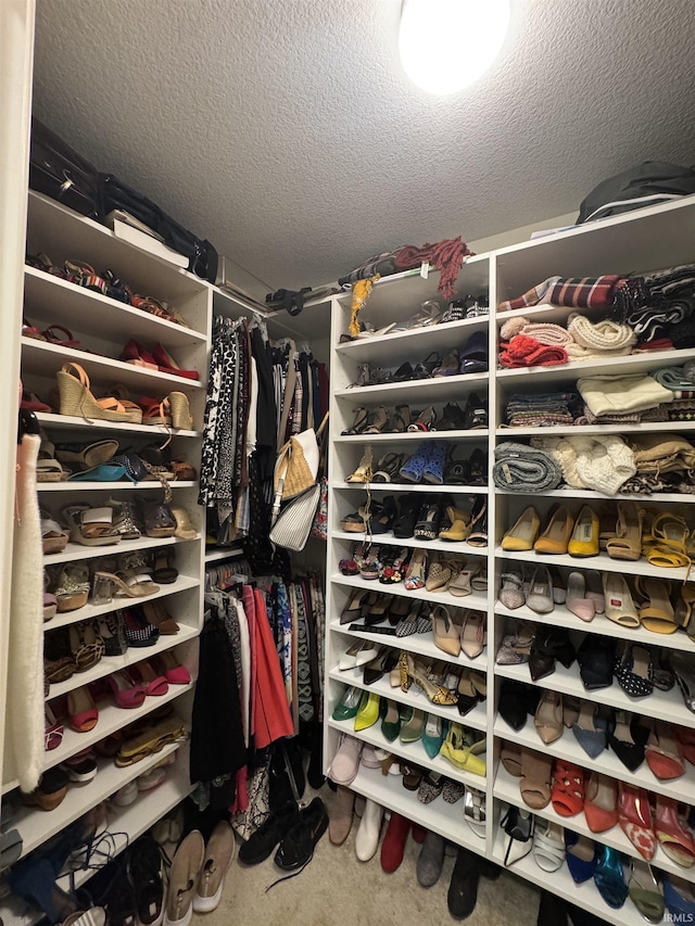 view of walk in closet