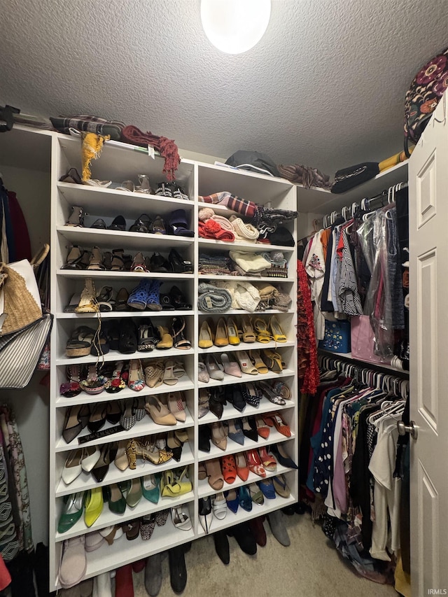 walk in closet featuring carpet flooring