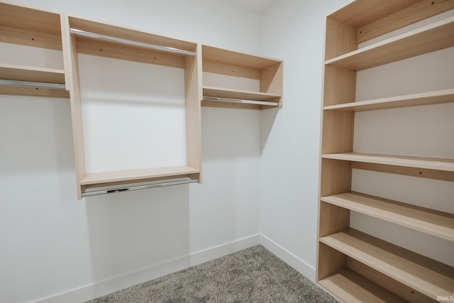 spacious closet with carpet floors