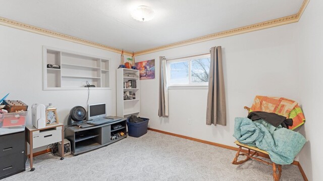 miscellaneous room featuring baseboards and carpet flooring