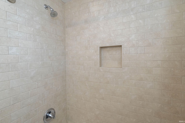 room details with tiled shower