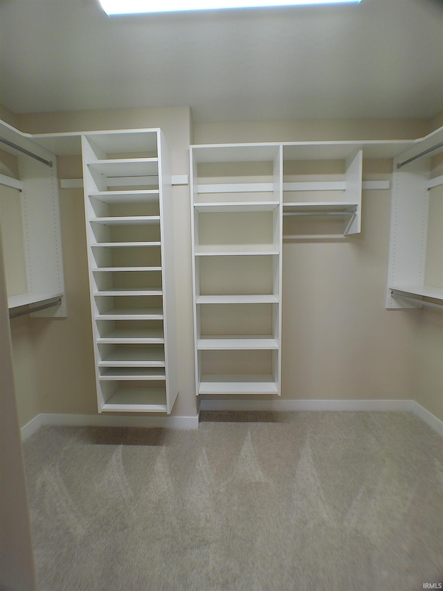 spacious closet with carpet flooring