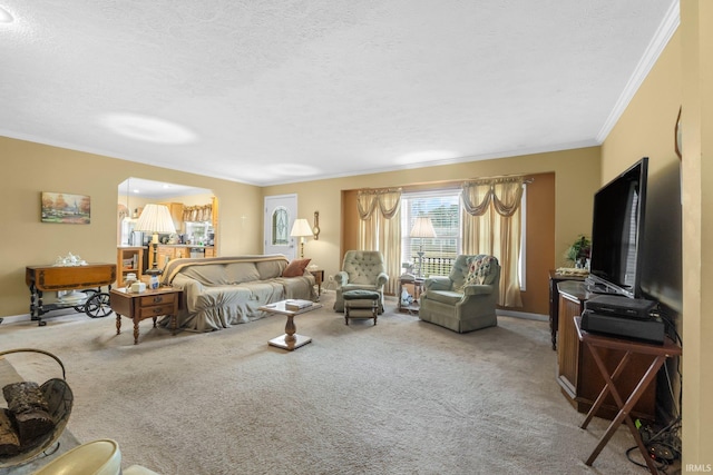 living area featuring a textured ceiling, ornamental molding, carpet flooring, and baseboards