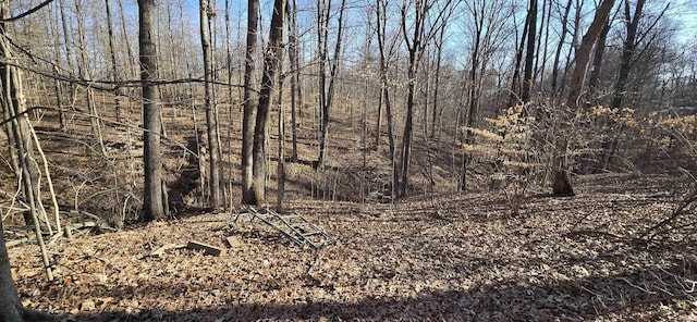 view of nature featuring a wooded view