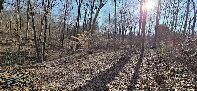 view of nature featuring a view of trees